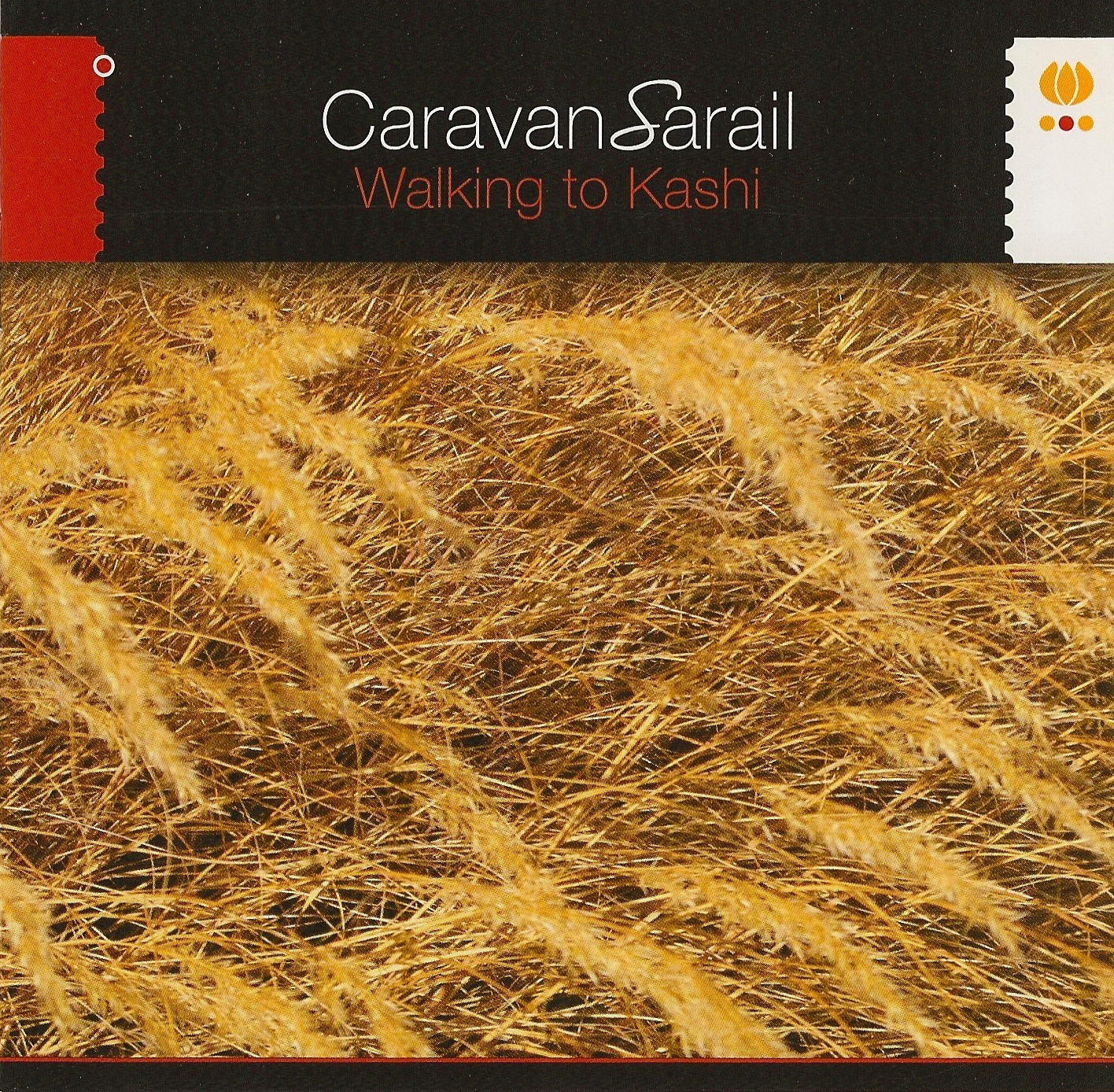 Pochette de l’album Caravansarail — Walking to Kashi